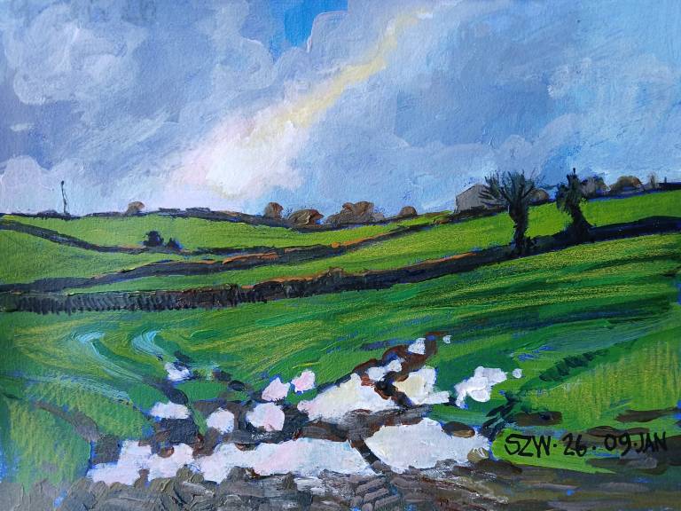 This Year: January - Sarah Wimperis