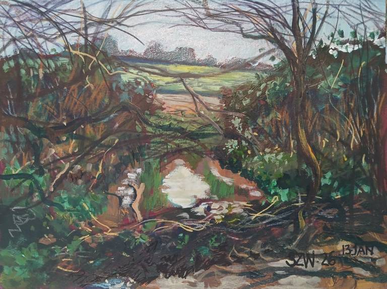 This Year: January - Sarah Wimperis