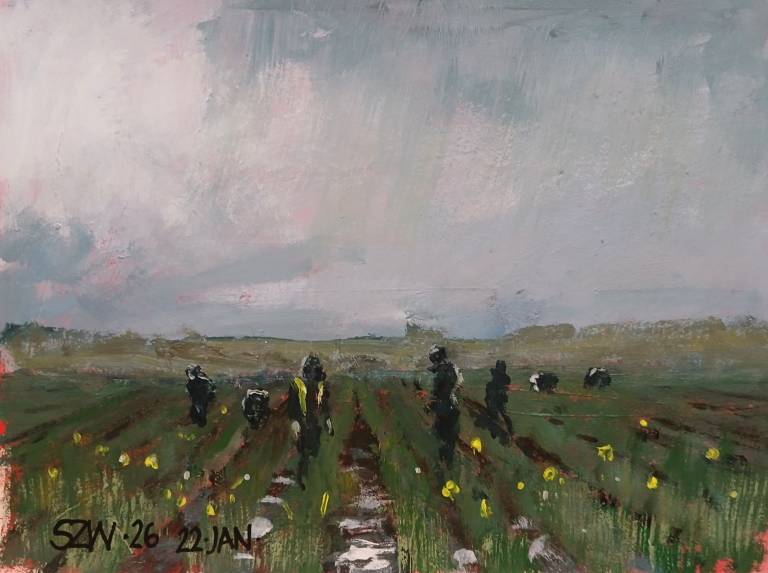 This Year: January - Sarah Wimperis