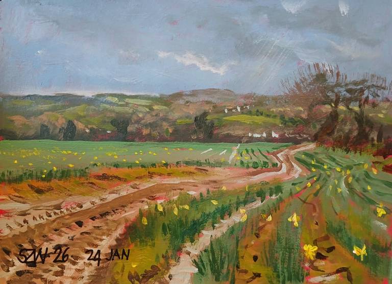 This Year: January - Sarah Wimperis