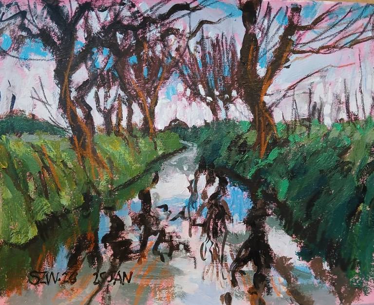 This Year: January - Sarah Wimperis