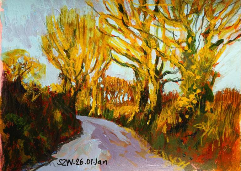 This Year: January - Sarah Wimperis