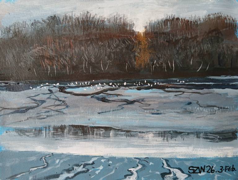 This Year: February - Sarah Wimperis