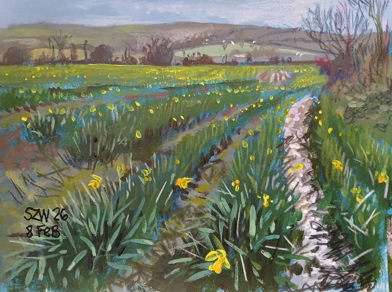 This Year: February - Sarah Wimperis