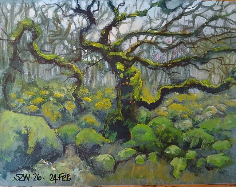 This Year: February - Sarah Wimperis