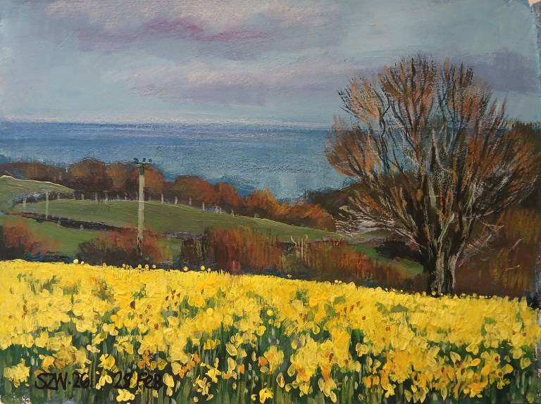 This Year: February - Sarah Wimperis