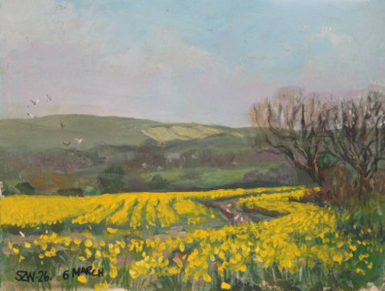 This Year: March - Sarah Wimperis