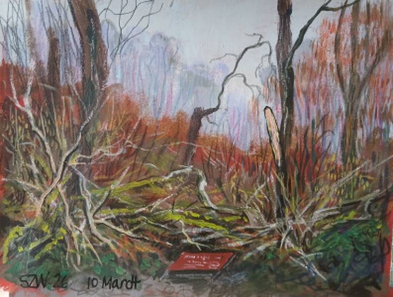 This Year: March - Sarah Wimperis