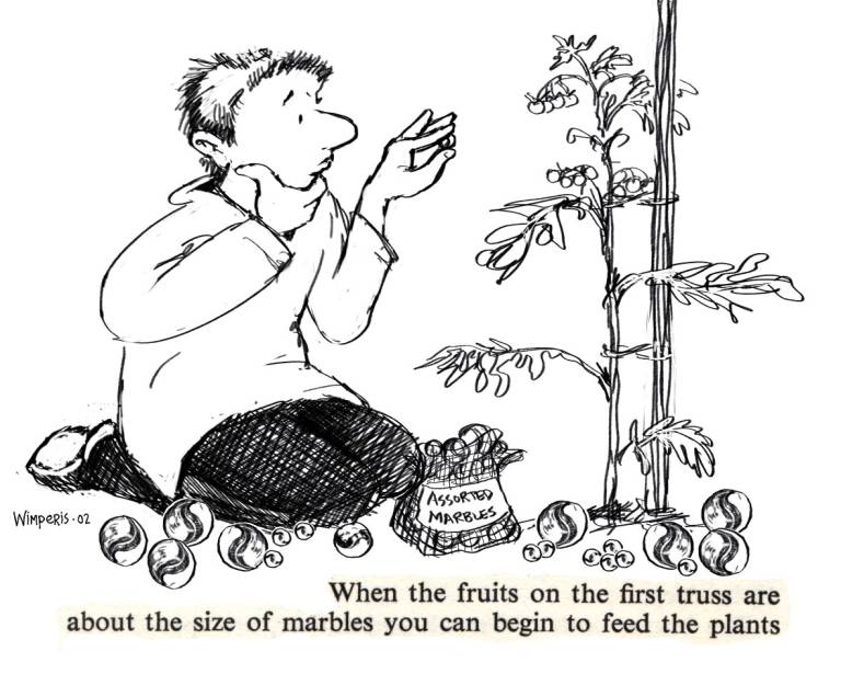 By The Book Gardening - Sarah Wimperis