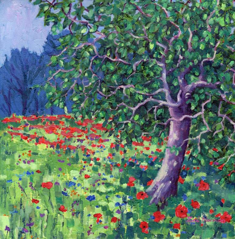 Poppy Meadow - Zoe Elizabeth Norman