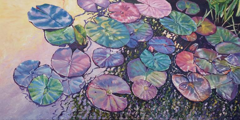 Apricot Pond - Zoe Elizabeth Norman