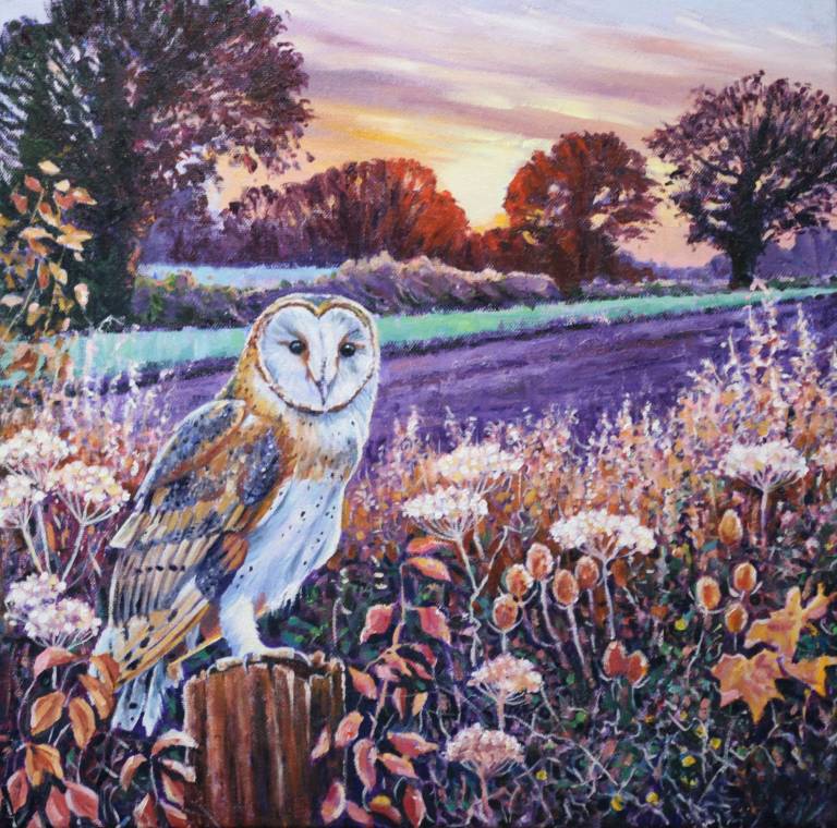 Barn Owl at Dawn - Zoe Elizabeth Norman