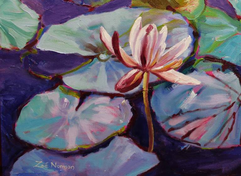 Nympheas - Zoe Elizabeth Norman