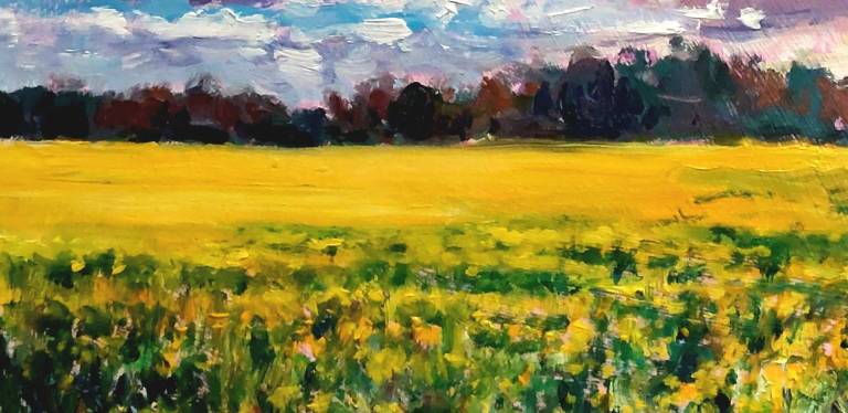 Golden Field - Zoe Elizabeth Norman