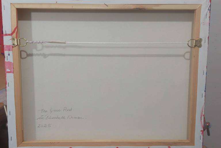 The Green Pond - Zoe Elizabeth Norman