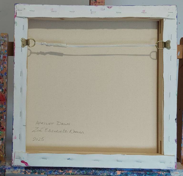 Apricot Dawn - Zoe Elizabeth Norman