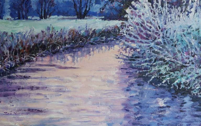 Apricot Dawn - Zoe Elizabeth Norman