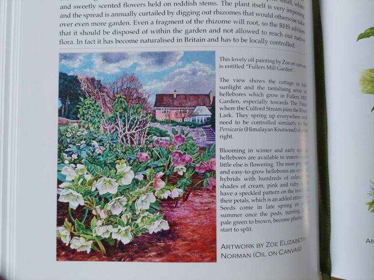 Fullers Mill Garden - Zoe Elizabeth Norman