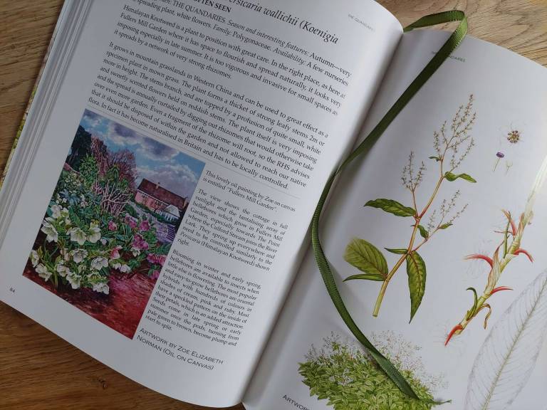 Fullers Mill Garden - Zoe Elizabeth Norman