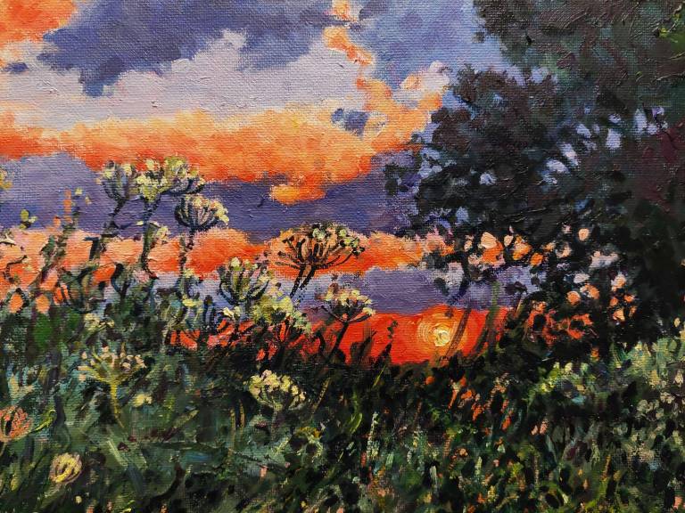 Evening Light - Zoe Elizabeth Norman