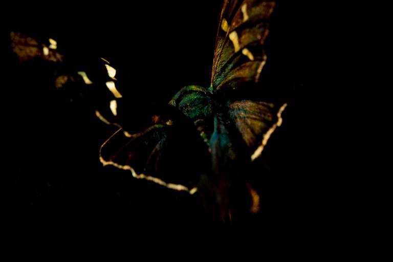 Louise Knaresborough - Into the Dark