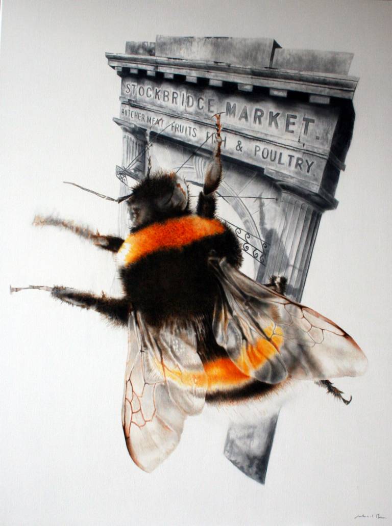 Michael Dix - Apidae Market