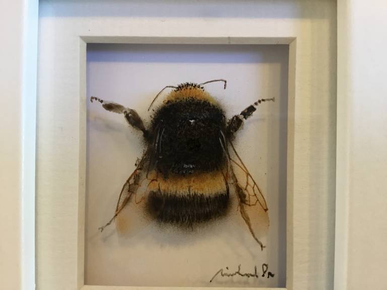 Michael Dix -  Bumble Bee  21-7-02