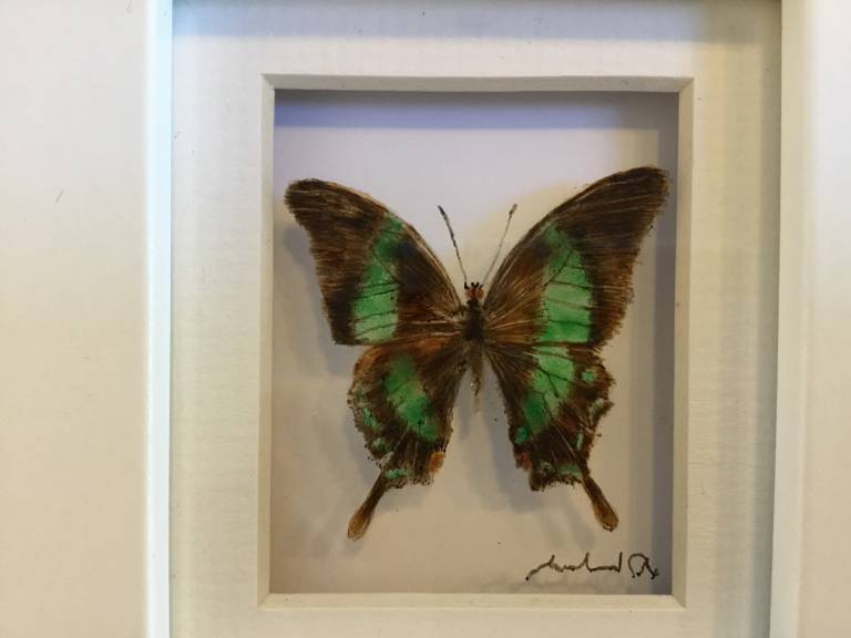 Michael Dix - Green Butterfly 21-7-03