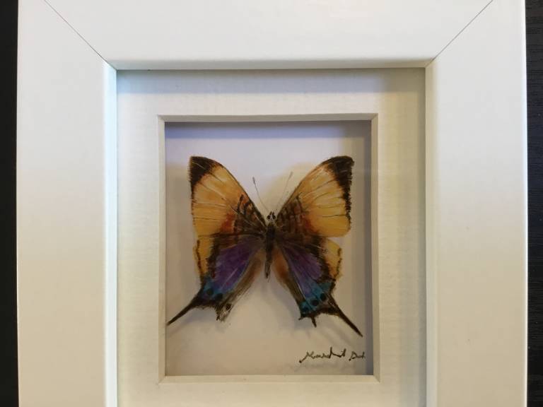 Michael Dix - Gold Butterfly 21-7-04