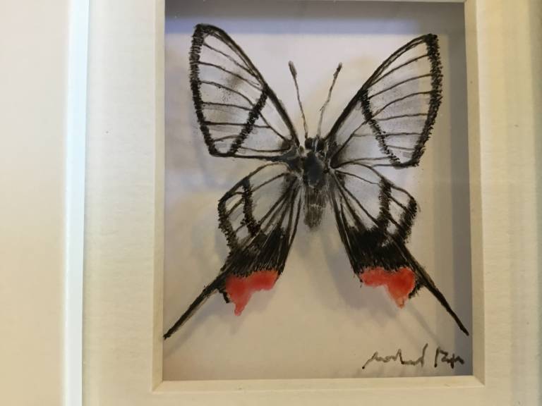 Michael Dix - Opaque Butterfly 21-7-05