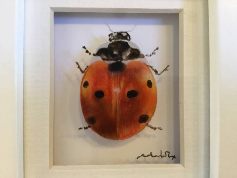 Ladybird 21-7-09 - Michael Dix