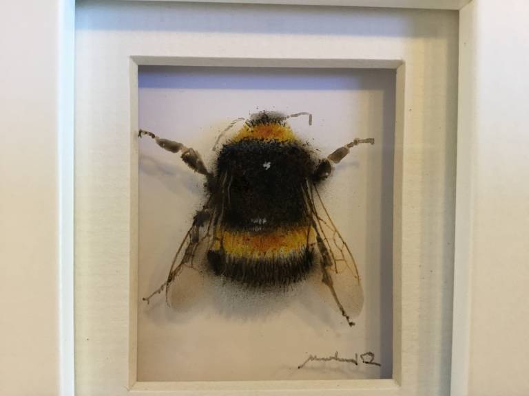 Second Bumblebee 21-7-12 - Michael Dix