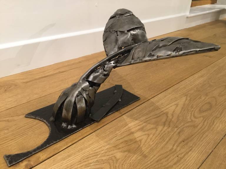 Lucus Dew - Whale tail