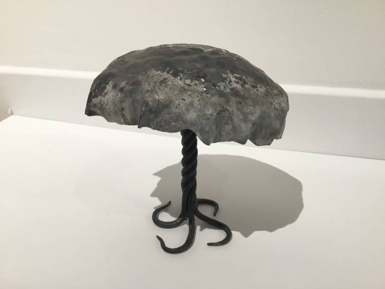 Lucus Dew - Medium mushroom