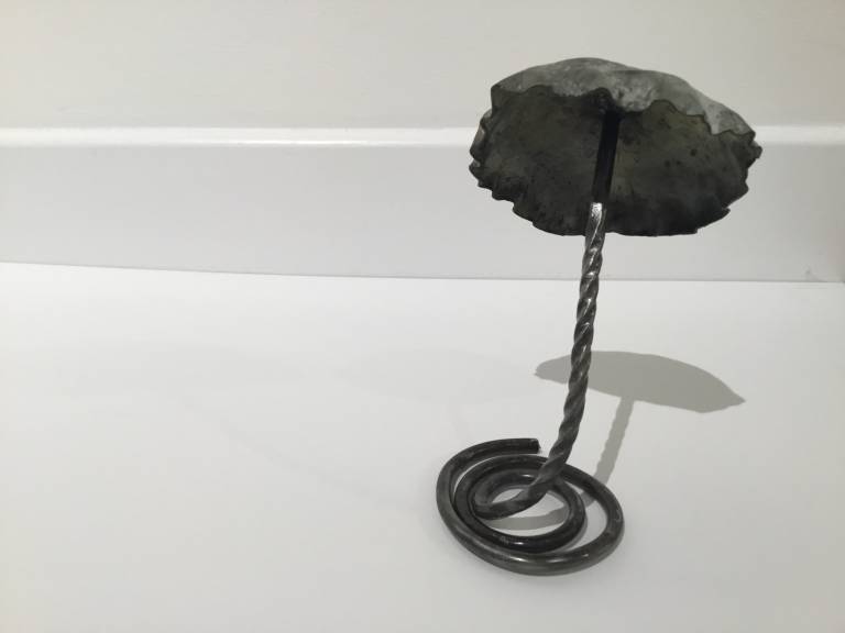 Lucus Dew - Small mushroom 