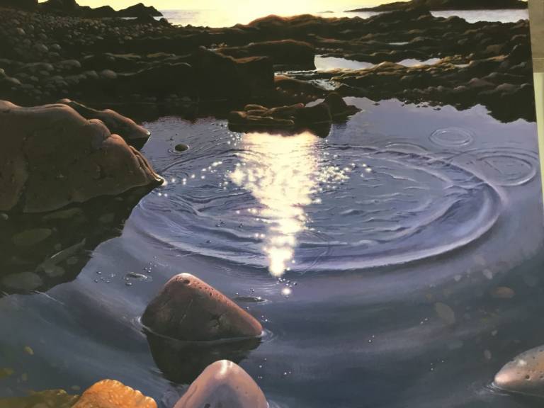 Sun pool VI - David Boyle