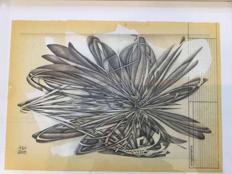 Vanishing petals - Mark Carmichael 