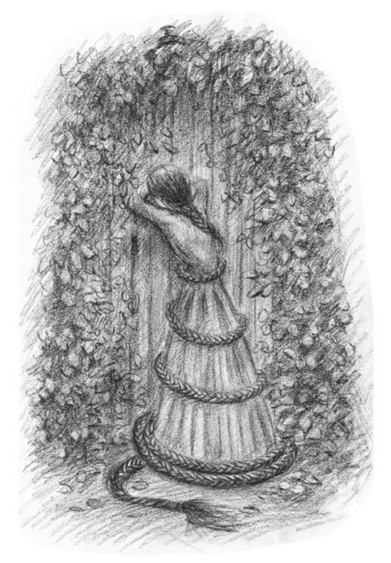 Plait - Fiona Michie 