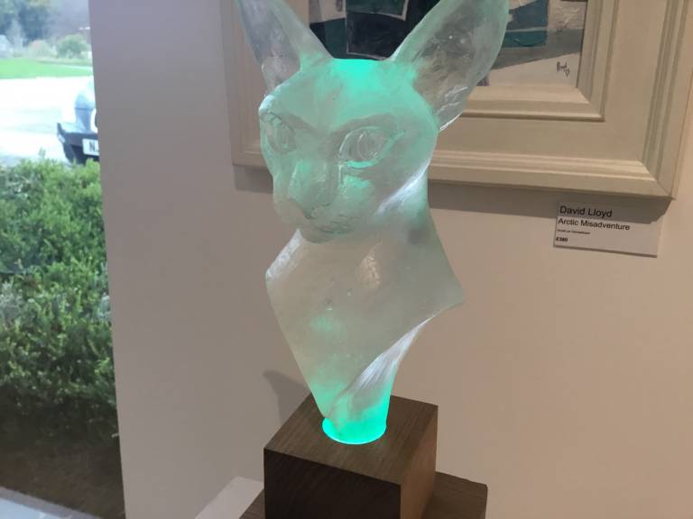 Ashley Brammer - Feline