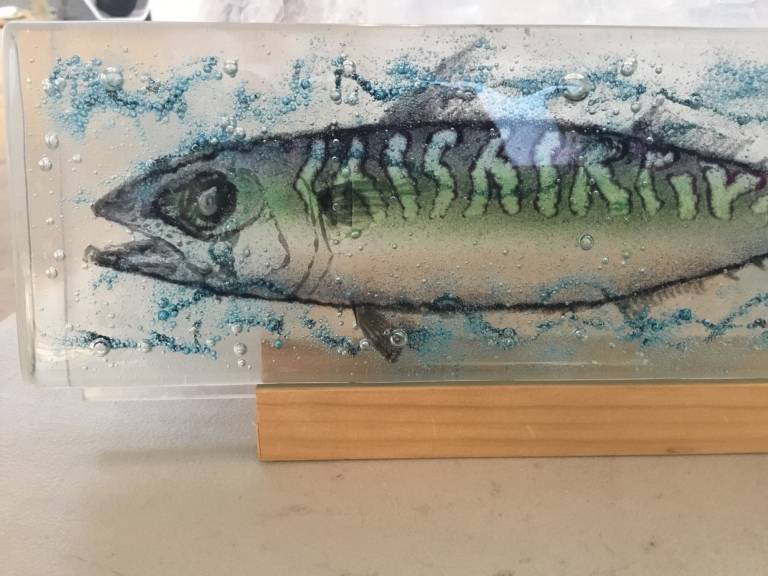 Mackerel  - Ashley Brammer