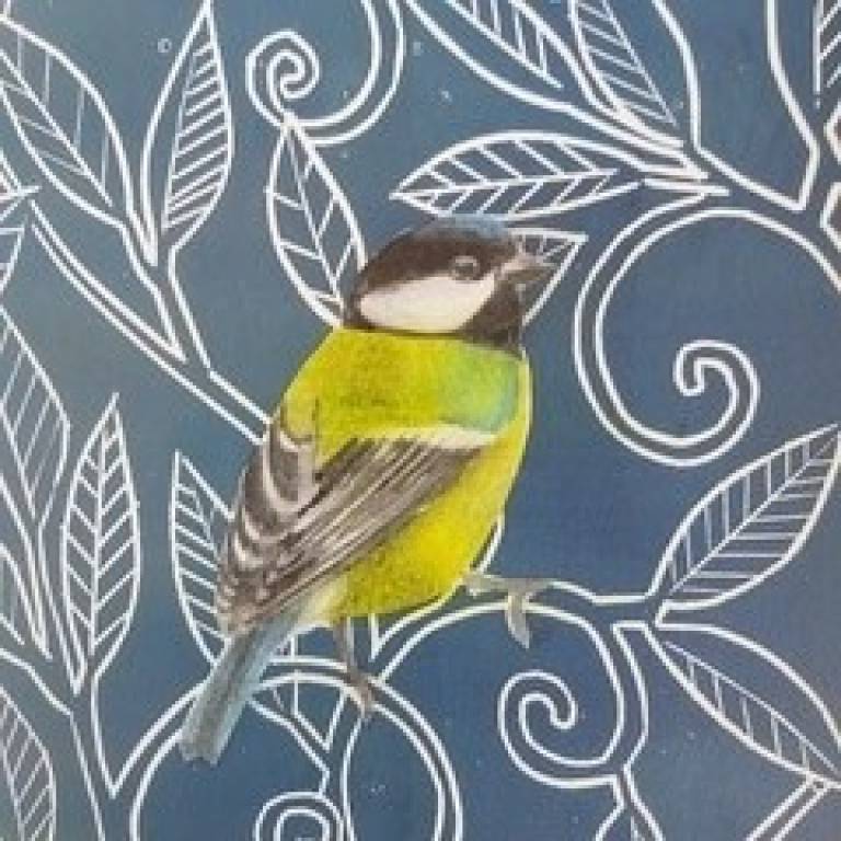 Time to site test - Sarah Wimperis