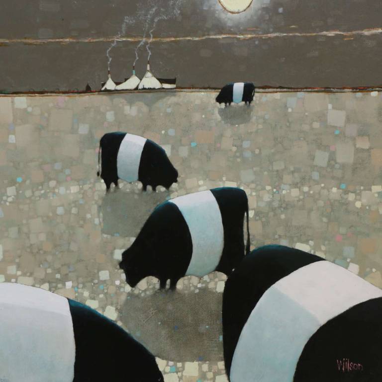 Moonbasking Belties (sold out) - Gordon Wilson