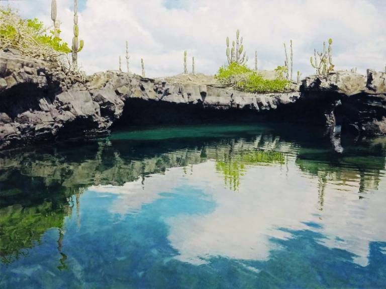 Los Tuneles, Galapagos Islands 16 - Roger G. Hatton