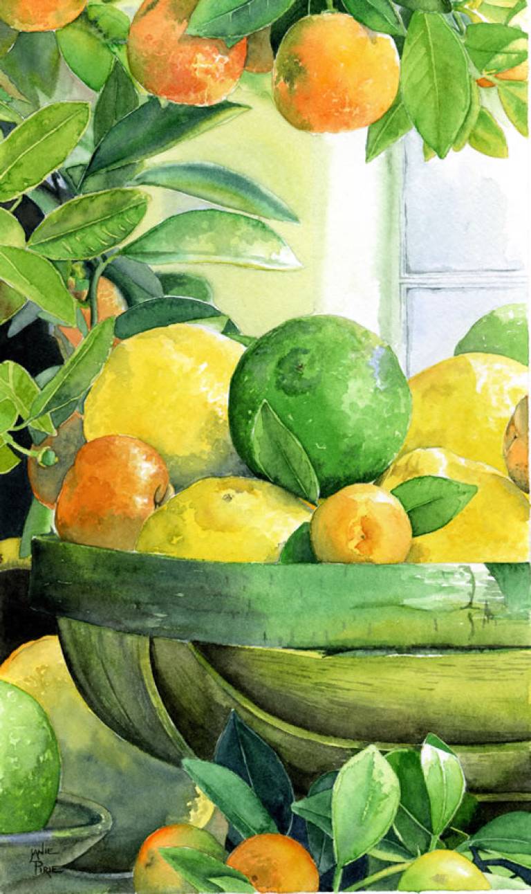 Oranges Lemons Limes Janie Pirie