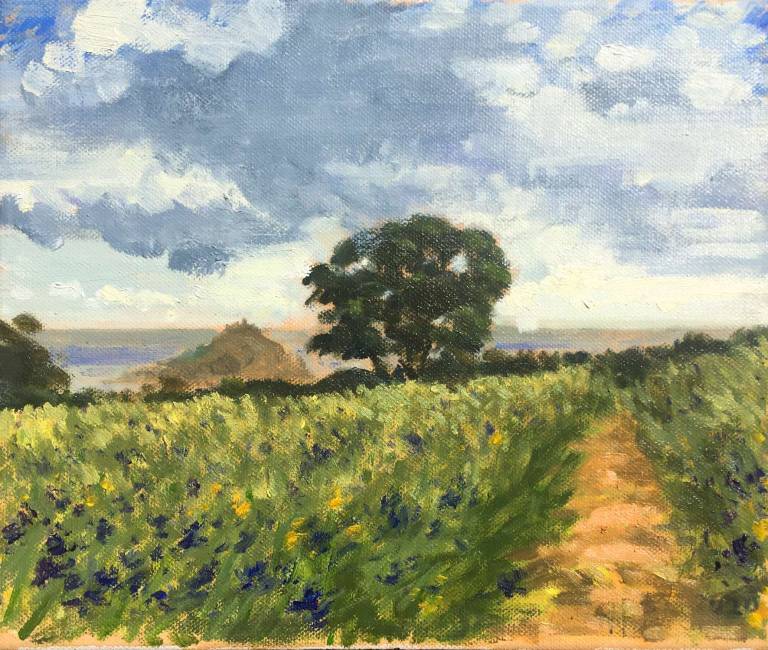 Agapanthus field & St Micheal's Mount - Cyppo  Streatfeild