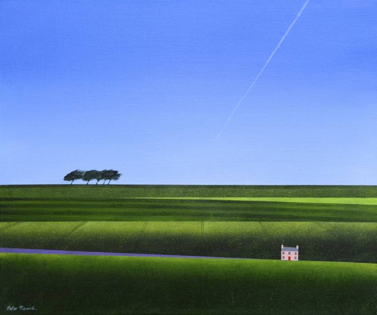 Perfect Sky - Peter Heard