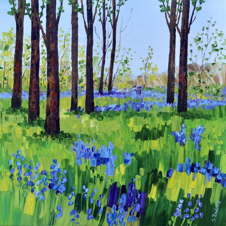 Spring Bluebells 40 x 40cm SOLD - Sheila Fowler