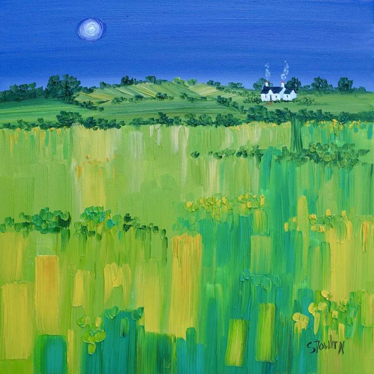 Moonlit Meadow (framed size 45 x 45cm) - Sheila Fowler