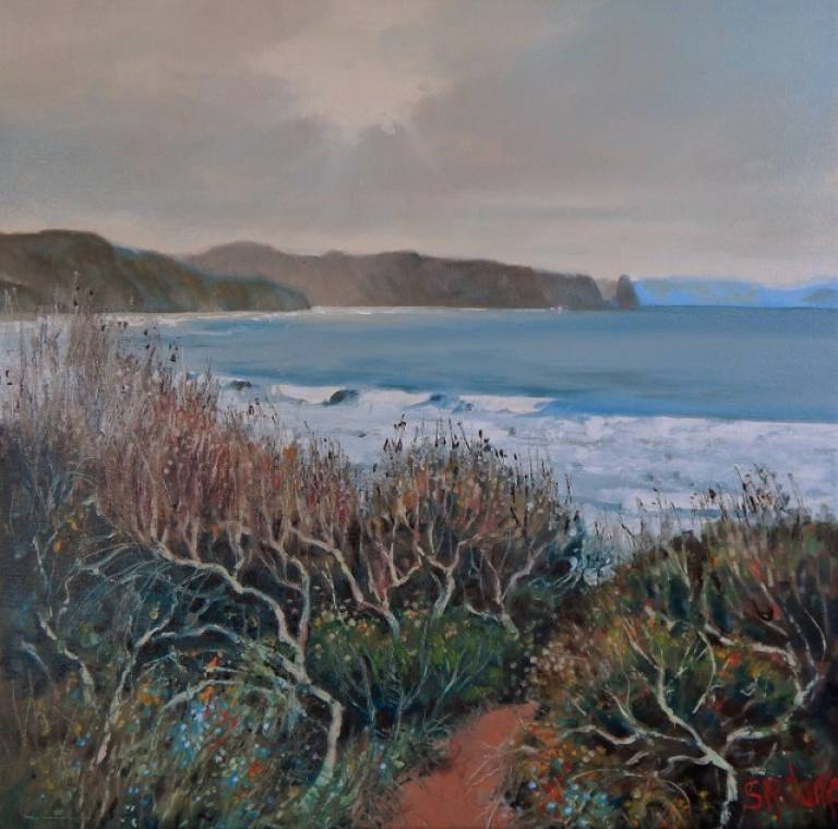 Walk the Wild Shore - Stella Clarke