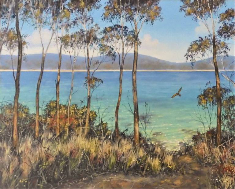 Shoreline , The Narrow Track - Stella Clarke